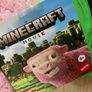 Minecraft 10 euro only Image 3