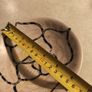 African Carved Shallow Soap Stone Bowl Dish Image 2