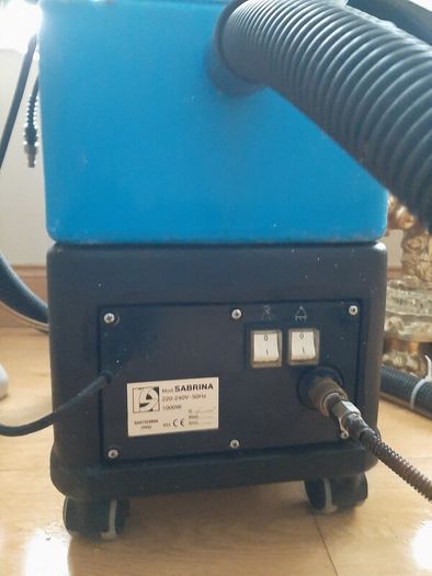 professional carpet cleaner