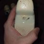 4 Delft Blue ceramic Clogs Image 5