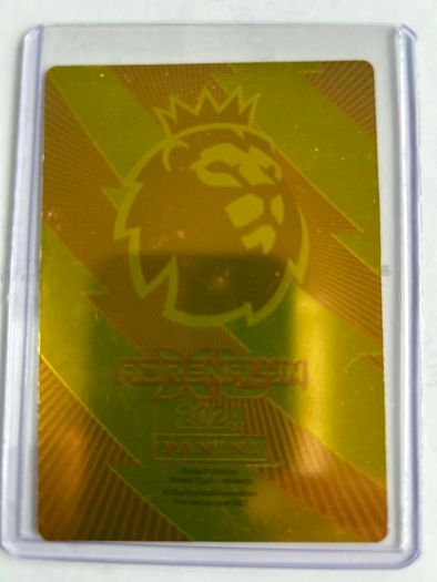 Match Attax Haaland Golden Baller