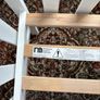 Mothercare Cot Image 6