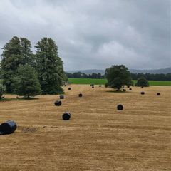 Haylage