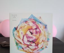 Walking On Cars - Colours (LP, Album)