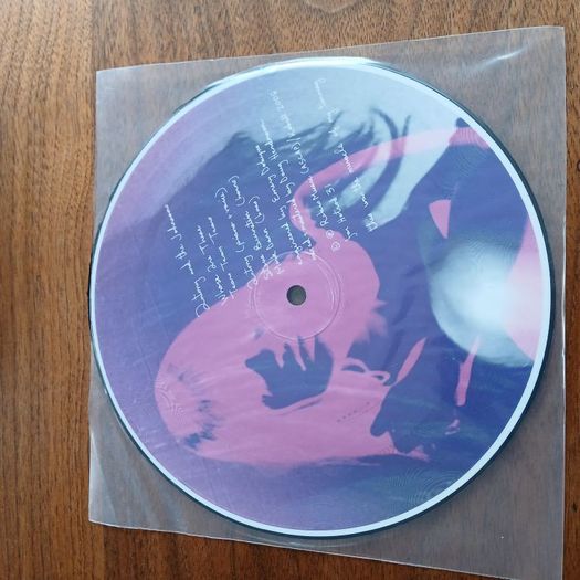 Anhoni Antony and the Johnsons Turning 7" vinyl 2006 with accompanying brochure.