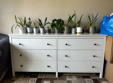 Chest of 6 drawers