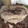 granite stepping stones Image 2