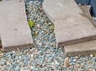 rubbish removal Image 3