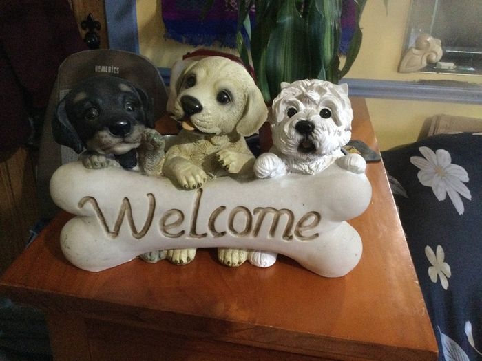 home display