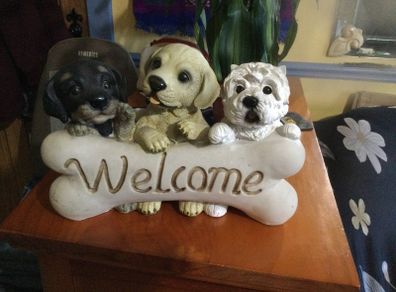 home display
