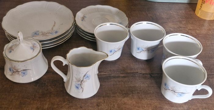 Bavarian Porcelain 14 piece tea set