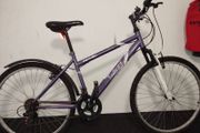 ladies 26inch bike