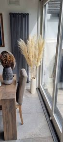 pampas grass