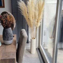 pampas grass