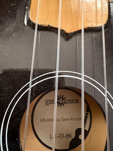 ukulele and guitar