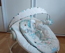 Baby bouncer chair