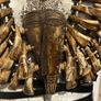 1 Museum Piece Buffalo Teeth Tribal Bib Necklace Rare Necklace Chest Piece Image 3
