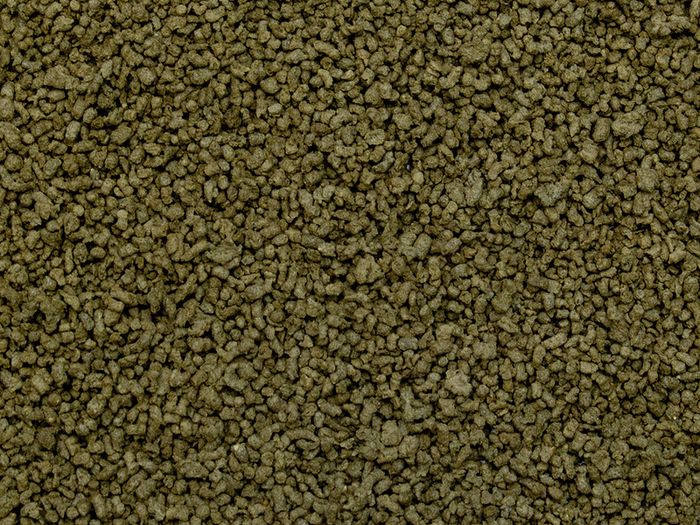 Tropical Spirulina GRANULAT 250ml
