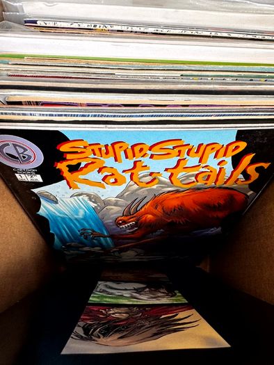 Indie Long Comic Box w 250 Comics for Sale