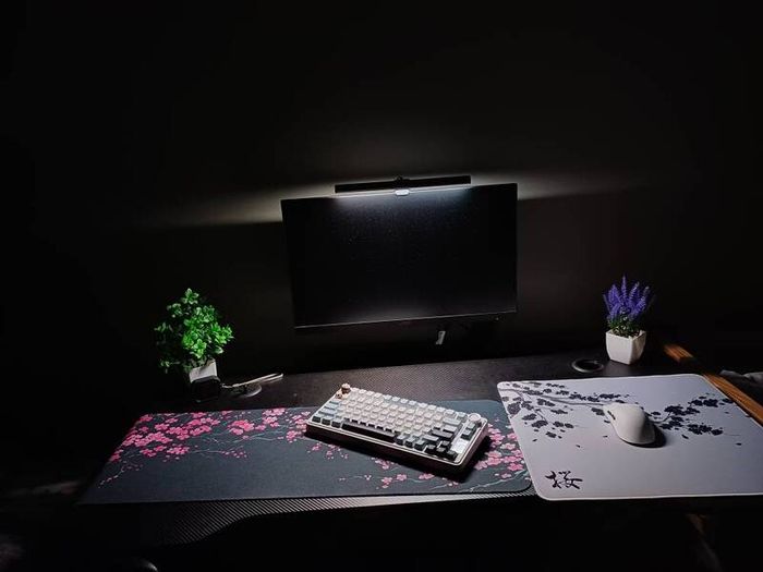 Full gaming setup