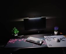 Full gaming setup