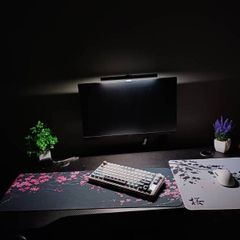 Full gaming setup