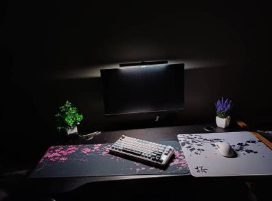 Full gaming setup