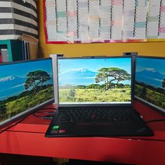 Portable monitors