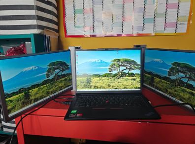 Portable monitors