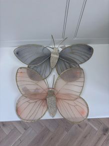 Butterfly wings