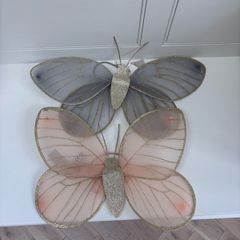 Butterfly wings