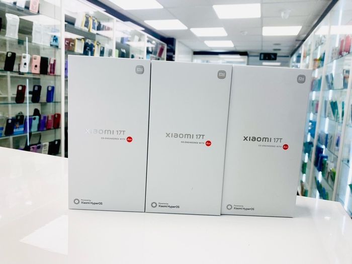 xiaomi 17T 12gb ram 256gb xiaomi 17T 12gb ram 256gb xiaomi 17T 12gb ram 256gb xiaomi 17T 12gb ram 256gb xiaomi 17T 12gb ram 256gb xiaomi 17T 12gb ram 256gb xiaomi 17T 12gb ram 256gb xiaomi 17T 12gb ram 256gb xiaomi 17T 12gb ram 256gb