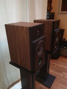 Book Shelf Speakers