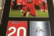 Diogo Jota Commemorative Wall Plaque