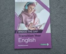 Transition year English,  Bridge the Gap