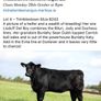 2 select Aberdeen Angus bulls & 2 choice heifers Image 7
