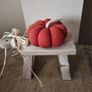 Pumpkin Image 4