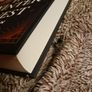 The Winter Guest/ W. C. Ryan/ 2022/ Signed/ 1st edition Image 3