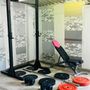 Top Quality Weight Lifting Setup