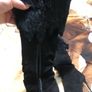 Ladies Dune knee boots size 5 Image 6