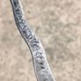 Vintage Javanese Kris hand forged letter opener Image 8