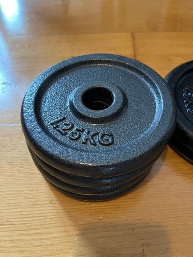 Single 10kg dumbbell