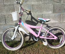 Girls Pink Bike 18in 5 to 7 yr old