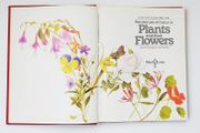 Nature's Use of Colour in Plants and their Flowers by John and Susan Proctor  hardback  1978