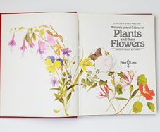 Nature's Use of Colour in Plants and their Flowers by John and Susan Proctor  hardback  1978