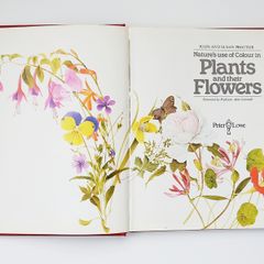 Nature's Use of Colour in Plants and their Flowers by John and Susan Proctor  hardback  1978