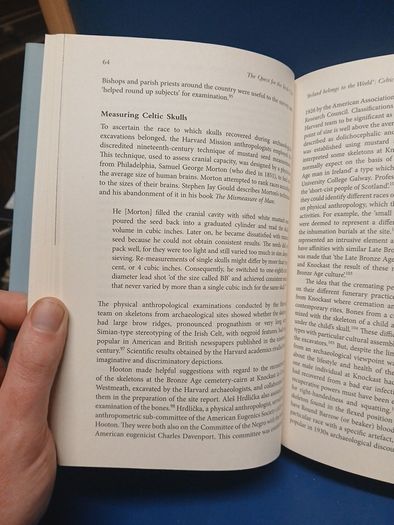 The Quest for the Irish Celt - Mairead Carew