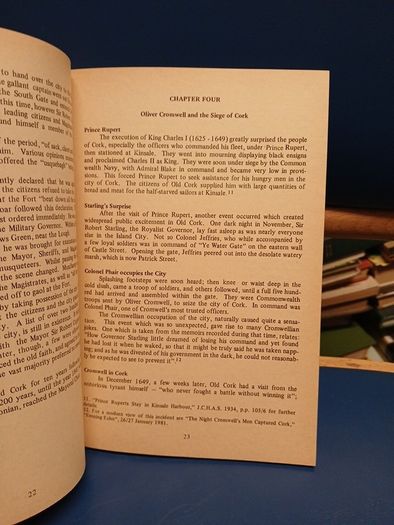 Cooke and Scanlon's Guide to Cork