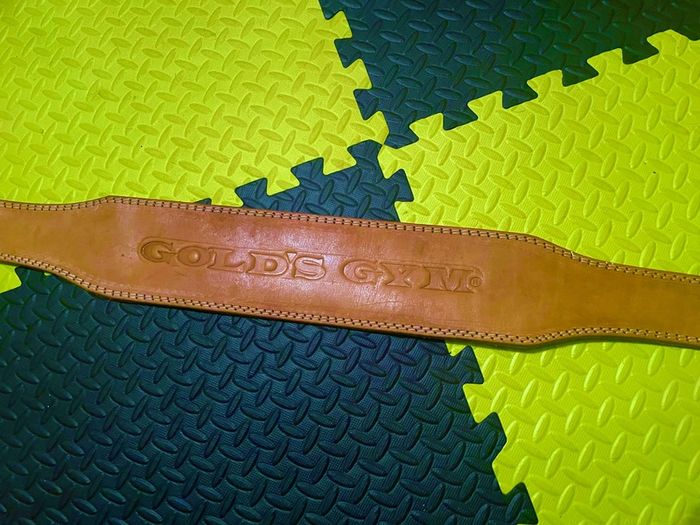 Golds gym weight belt