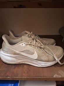 Men Nike Pegasus  41